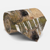 印象的なブルムース ネクタイ (ロール)