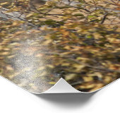 印象的なブルムース フォトプリント            (角)