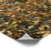 印象的なブルムース ポスター (角)