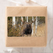 印象的なブルムース ラベル (インサイチュ)