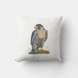 印象的なペレグリン《鳥》ハヤブサクッション クッション