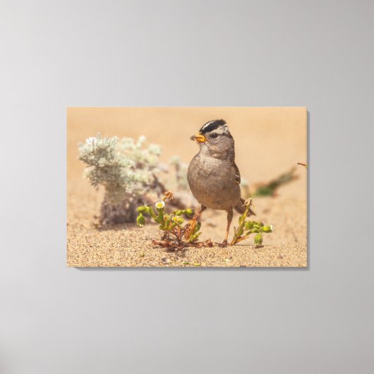 印象的なポーズ キャンバスプリント (正面)