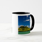 印象的なライオンを見るパラサイル マグカップ (正面右)