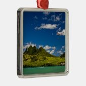 印象的なライオンを見るパラサイル メタルオーナメント (右)