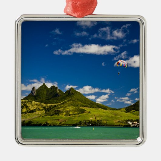 印象的なライオンを見るパラサイル メタルオーナメント (正面)