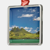 印象的なライオンを見るパラサイル メタルオーナメント (左)