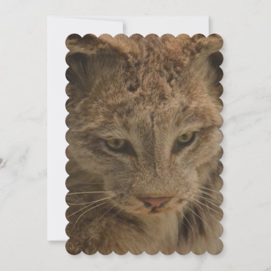 印象的なリンデックス 招待状 (正面)