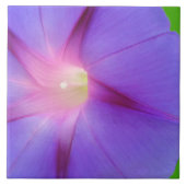 印象的な紫のフローラ タイル (正面)