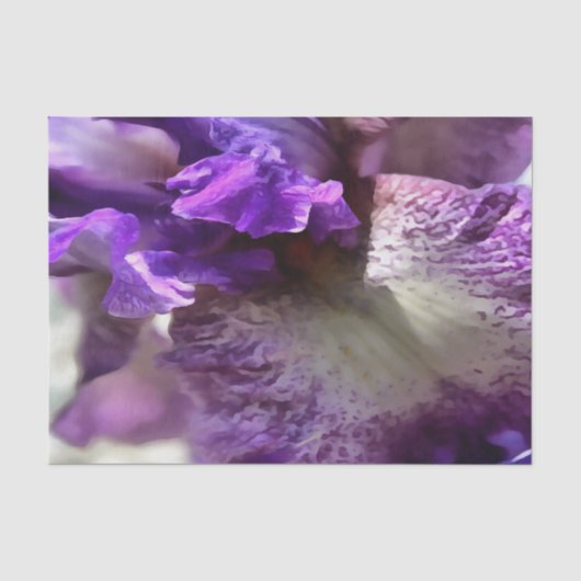 印象的な紫、紫とメイヴアイリスの抽象芸術 薄葉紙 (正面)