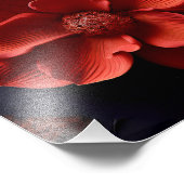 印象的な花束赤と白。 フォトプリント            (角)