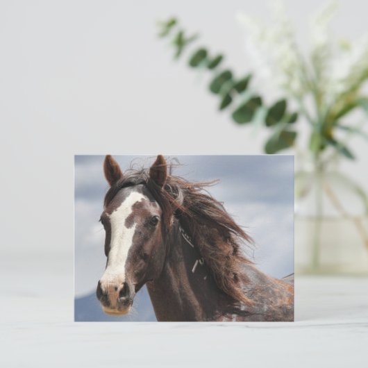 印象的 ポストカード (スタンド正面)