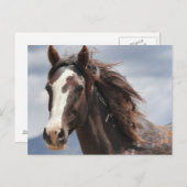 印象的 ポストカード (正面/裏面)