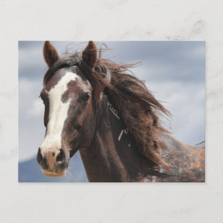 印象的 ポストカード