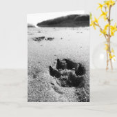 印象 カード (黄色い花)