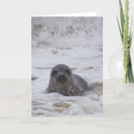 印鑑 – 動物色フォトプリントグリーティングカード カード