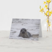 印鑑 – 動物色フォトプリントグリーティングカード カード (黄色い花)