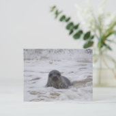 印鑑 – 動物色フォトプリント葉書 ポストカード (スタンド正面)