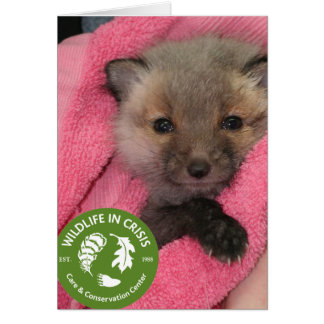 危機の野性生物