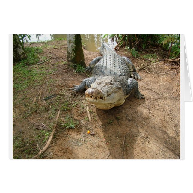 危機一髪 (正面横)