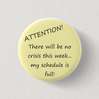 危機無し! 缶バッジ