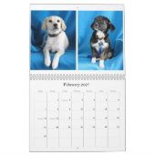 危険から安全な手への カレンダー (2月 2027)