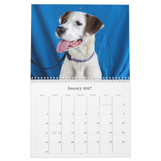 危険から安全な手への カレンダー (1月 2027)