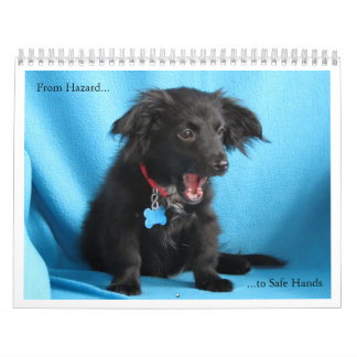 危険から安全な手への カレンダー