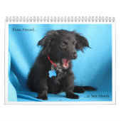 危険から安全な手への カレンダー (カバー)