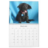 危険から安全な手への カレンダー (3月 2026)