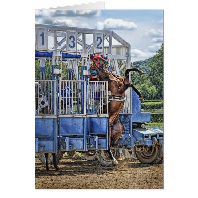 危険なサラブレッド (正面)