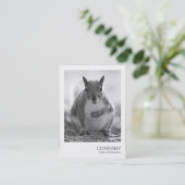 即刻の写真045 -灰色のリスBW 名刺 (スタンド正面)