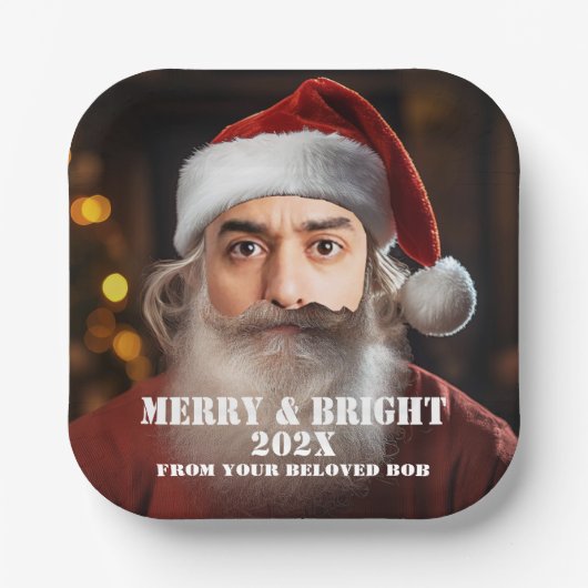 即席サンタ！単にあなたの顔を追加。 ペーパープレート (正面)