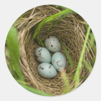 卵が欲しい ラウンドシール