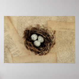 卵と鳥の巣モダンヴィンテージ ポスター