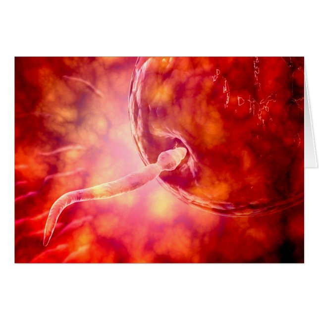 卵に入る男性の生殖精子 (正面横)