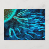 卵に向かって泳ぐ精子の顕微鏡的見解1 ポストカード (正面)