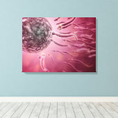 卵に向かって泳ぐ精子の顕微鏡的見解4 キャンバスプリント (インサイチュ (ウッドフロア))