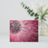 卵に向かって泳ぐ精子の顕微鏡的見解4 ポストカード (スタンド正面)