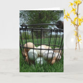 卵のかご カード (黄色い花)
