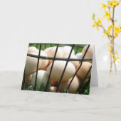 卵のかご カード (黄色い花)