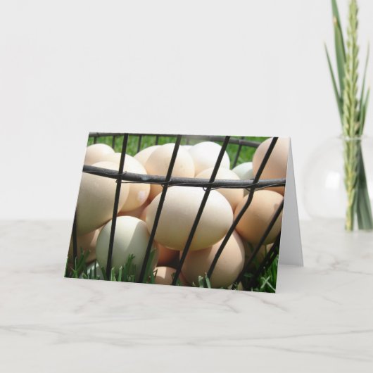 卵のかご カード (正面)