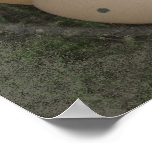 卵のかご ポスター (角)