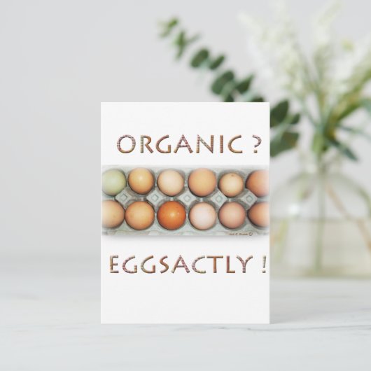 卵のように ポストカード (スタンド正面)