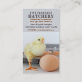 卵のカートンの鶏のふ化場のひよこ 名刺 (正面)