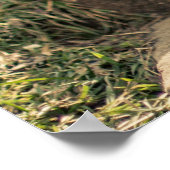 卵のコレクター ポスター (角)