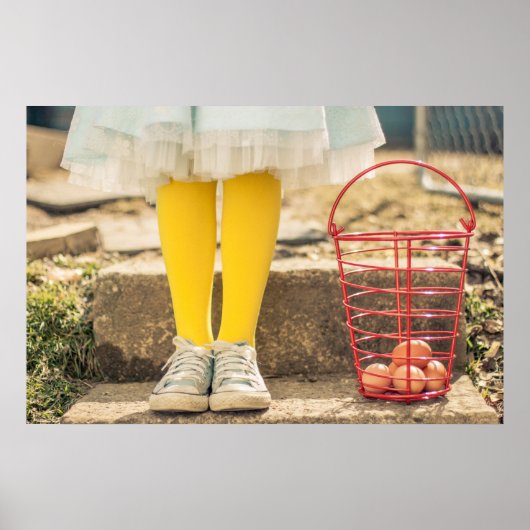 卵のコレクター ポスター (正面)