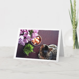 卵のボール。 スナップショット1 シーズンカード