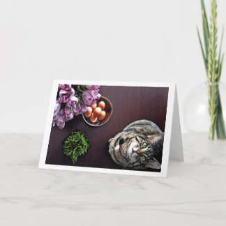 卵のボール。 スナップショット2 シーズンカード