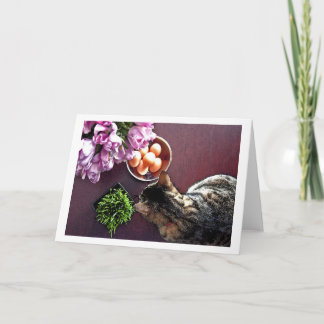 卵のボール。 スナップショット3 シーズンカード