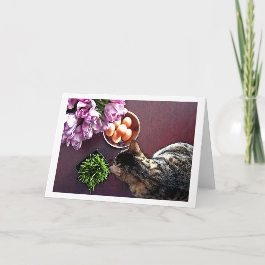 卵のボール。 スナップショット3 シーズンカード (正面)